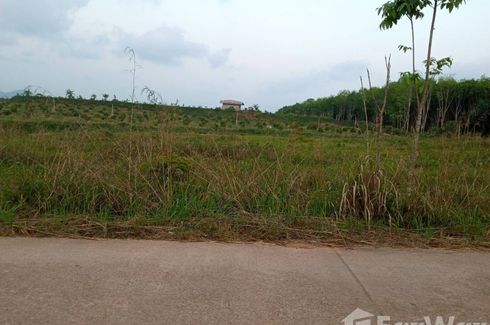 Land for sale in Chong Mai Kaeo, Chumphon