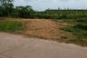 Land for sale in Chong Mai Kaeo, Chumphon