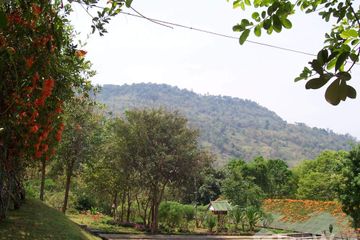 Land for sale in Nong Bua, Loei