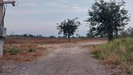 Land for sale in Nong Tao, Nakhon Sawan