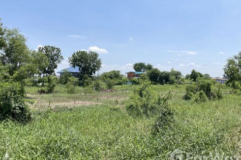 Land for sale in Bang Duea, Pathum Thani