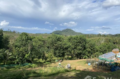 Land for sale in Tha Yu, Phang Nga