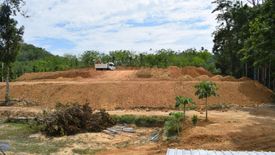 Land for sale in Tha Yu, Phang Nga