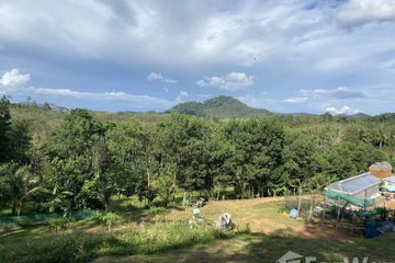 Land for sale in Tha Yu, Phang Nga