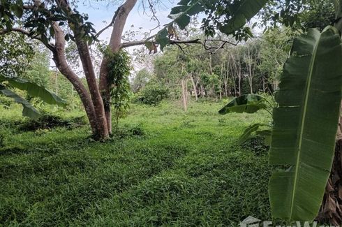 Land for sale in Rawai, Phuket