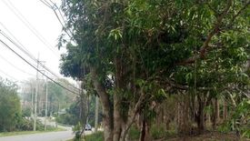 Land for sale in Sop Poeng, Chiang Mai