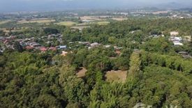 Land for sale in San Klang, Chiang Mai