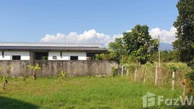 Land for sale in Pa Tan, Chiang Mai