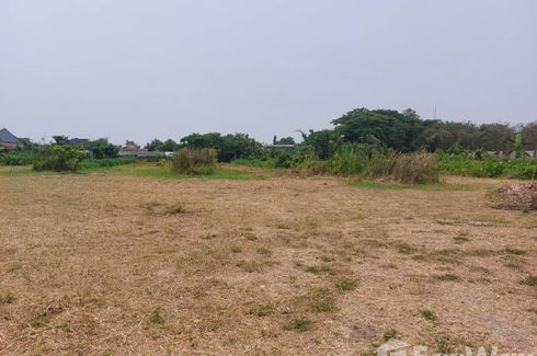 Land for sale in Chai Sathan, Chiang Mai