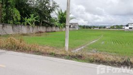 Land for sale in Nam Phrae, Chiang Mai