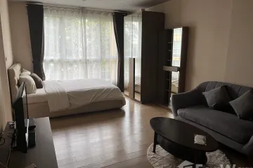 Condo for rent in Hive Sukhumvit 65, Phra Khanong Nuea, Bangkok near BTS Ekkamai