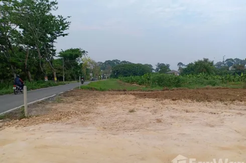 Land for sale in Pa Daet, Chiang Mai