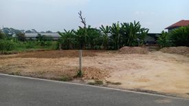 Land for sale in Pa Daet, Chiang Mai