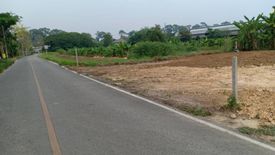 Land for sale in Pa Daet, Chiang Mai
