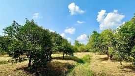 Land for sale in Sarika, Nakhon Nayok