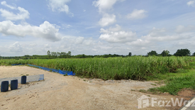 Land for sale in Ko Chan, Chonburi