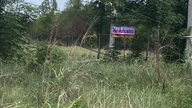 Land for sale in Nong Kradon, Nakhon Sawan