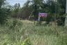 Land for sale in Nong Kradon, Nakhon Sawan