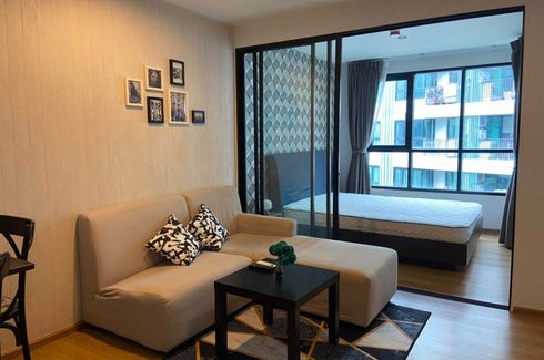 1 Bedroom Condo for rent in Centrio Condominium, Wichit, Phuket