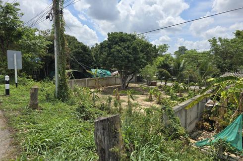 Land for sale in Nong Khwai, Chiang Mai