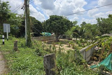 Land for sale in Nong Khwai, Chiang Mai