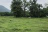 Land for sale in On Klang, Chiang Mai