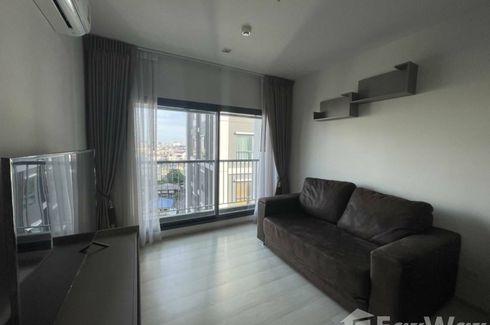 2 Bedroom Condo for rent in Life Sukhumvit 48, Phra Khanong, Bangkok near BTS Phra Khanong