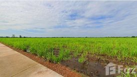 Land for sale in Thep Nakhon, Kamphaeng Phet