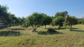 Land for sale in Cha am, Phetchaburi