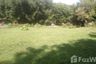 Land for sale in Ban Luang, Chiang Mai