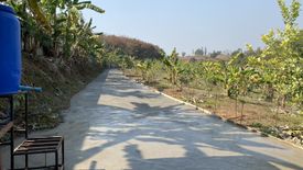 Land for sale in Dong Maha Wan, Chiang Rai