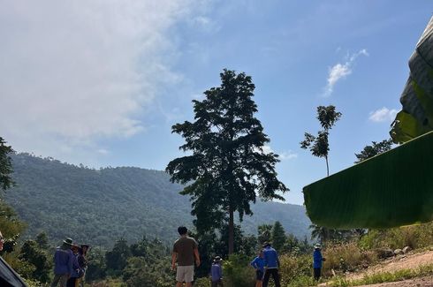 Land for sale in Mae Nam, Surat Thani