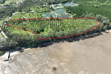 Land for sale in Pa Khlok, Phuket