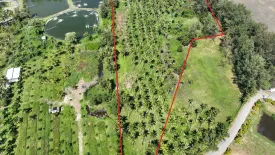 Land for sale in Pa Khlok, Phuket