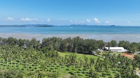 Land for sale in Pa Khlok, Phuket