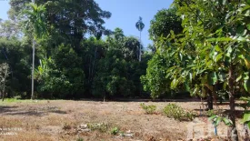 Land for sale in Samnak Thong, Rayong