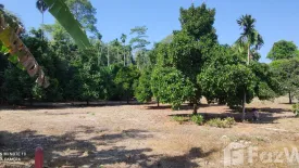 Land for sale in Samnak Thong, Rayong