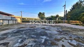 Land for sale in Nong Prue, Chonburi