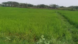 Land for sale in Ban Tom, Phayao