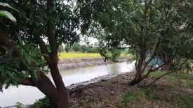 Land for sale in Thawi Watthana, Nonthaburi