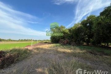 Land for sale in Nong Sam Wang, Pathum Thani