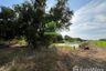 Land for sale in Nong Sam Wang, Pathum Thani