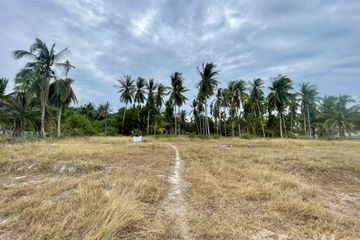 Land for sale in Mae Nam, Surat Thani