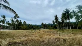 Land for sale in Mae Nam, Surat Thani