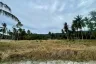 Land for sale in Mae Nam, Surat Thani