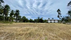Land for sale in Mae Nam, Surat Thani