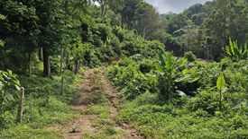 Land for sale in Karon, Phuket