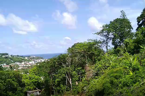 Land for sale in Karon, Phuket