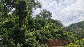 Land for sale in Karon, Phuket