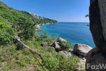 Land for sale in Ko Tao, Surat Thani